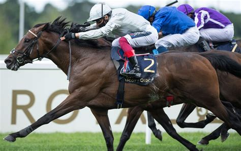 lockinge stakes betting offers